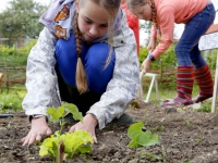 20162005 Tuinieren in de groeituin Patersweg Dordrecht Tstolk