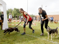 20160309 Dogsurvivallen Sportpark Amstelwijck Dordrecht Tstolk 006