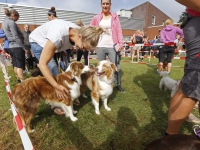 20160309 Dogsurvivallen Sportpark Amstelwijck Dordrecht Tstolk 007