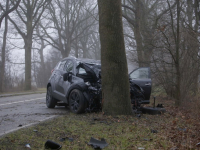 Auto frontaal tegen boom Provincialeweg Dordrecht Tstolk