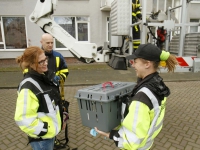 20161904 Kraai gered uit boom Noordendijk Dordrecht Tstolk 002