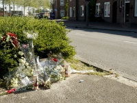 20160905 Bloemen op de Merwedestraat Dordrecht Tstolk