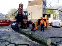 20161104 Bomen gekapt voor het nieuwe Vrieseplein Dordrecht Tstolk 002