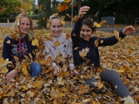 20160111 Herfst Zuidhoven Dordrecht Tstolk