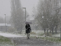 Sneeuwfoto's in Dordrecht