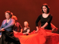 flamenco-2-bea-kolk