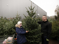 Kerstbomen verkopen Tuinwereld Dordrecht