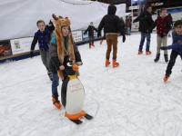 20141312-Grootste-kerstmarkt-van-Nederland-Dordrecht-Tstolk-003_resize