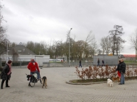 Veel schade na vuurwerkbom Sterrenburg III