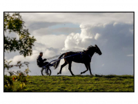 Wagen met paard op Wieldrechtse Zeedijk Dordrecht