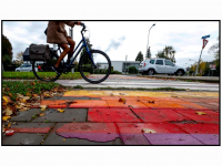 30102024-Regenboogzebrapad-vernield-Veerweg-papendrecht-Stolkfotografie