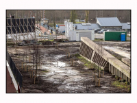 23122024-Eerste-verschillende-bomen-geplant-in-Wervenpark-Dordrecht-Stolkfotografie-001