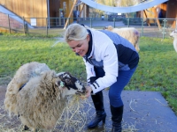 20141012-Weizigt-is-schapetrots-op-‘schapetrots’-Dordrecht-Tstolk_resize