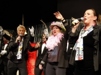 20162901 Grote Merwekrabbersrevue Benevia Dordrecht Tstolk 001